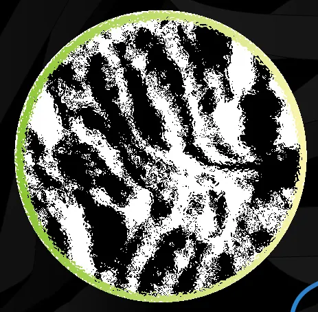 Coat pattern detail from Zafran showing rosetted markings
